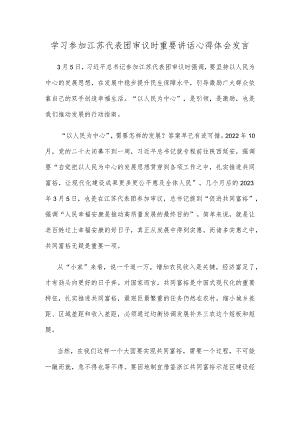 学习参加江苏代表团审议时重要讲话心得体会发言.docx