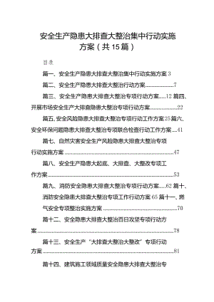 安全生产隐患大排查大整治集中行动实施方案15篇（详细版）.docx