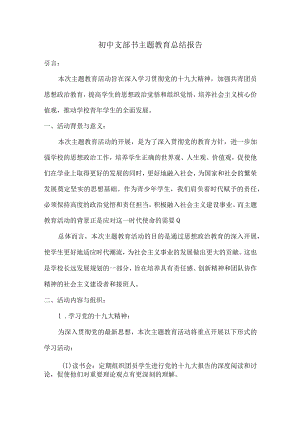 初中支部书主题教育总结报告.docx