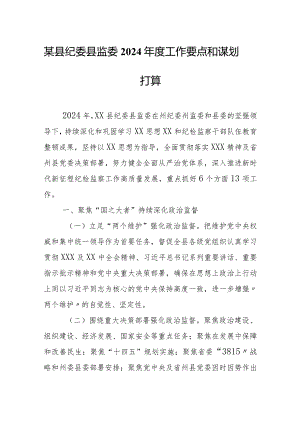 某县纪委县监委2024年度工作要点和谋划打算1.docx