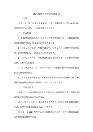 2024教师个人专业发展计划.docx