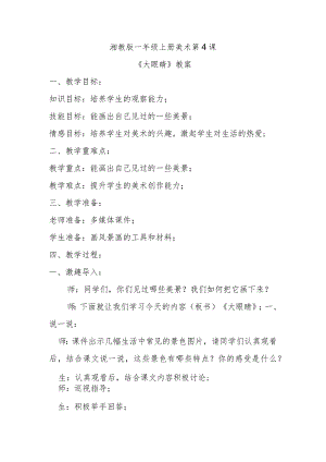 《大眼睛》教案.docx