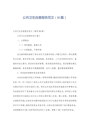 公共卫生自查报告范文（30篇）.docx