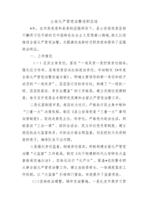 公安从严管党治警述职总结.docx