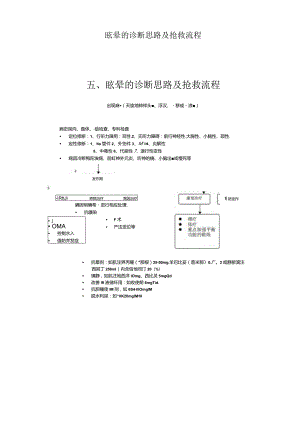 眩晕的诊断思路及抢救流程.docx