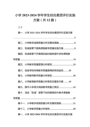 小学2023-2024学年学生综合素质评价实施方案（共12篇）.docx