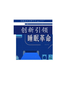 算数说对话梦百合-创新引领睡眠革命_市场营销策划_重点报告202301202_doc.docx