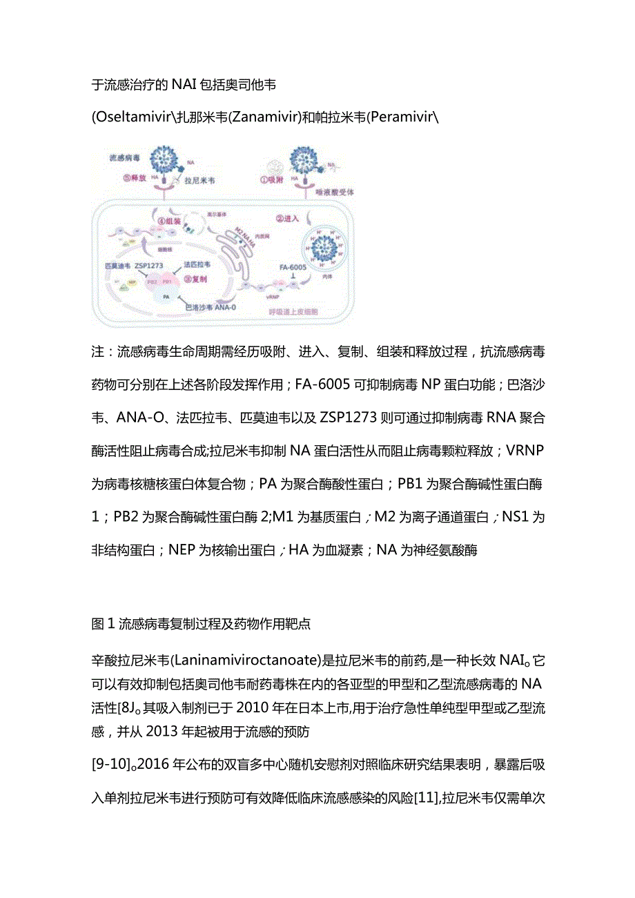 流感抗病毒药物治疗进展2023.docx_第3页