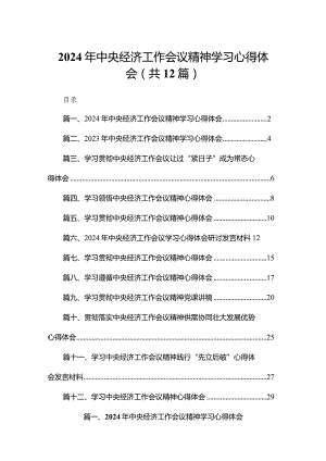 2024年中央经济工作会议精神学习心得体会12篇供参考.docx