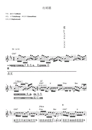 红昭愿（电子琴谱）.docx