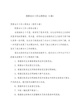 预算会计工作心得体会（3篇）.docx