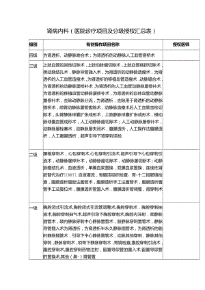 肾病内科（医院诊疗项目及分级授权汇总表）.docx