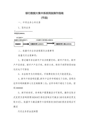 银行数据大集中系统简版操作指南.docx