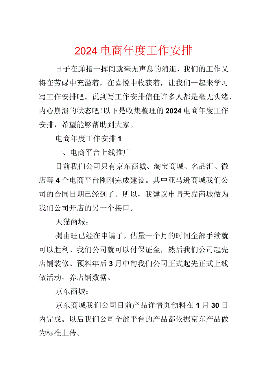 2024电商年度工作计划.docx_第1页