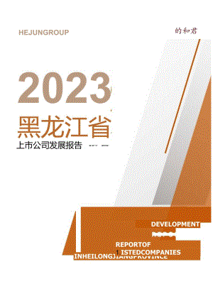 黑龙江省上市公司发展报告_市场营销策划_重点报告202301202_doc.docx