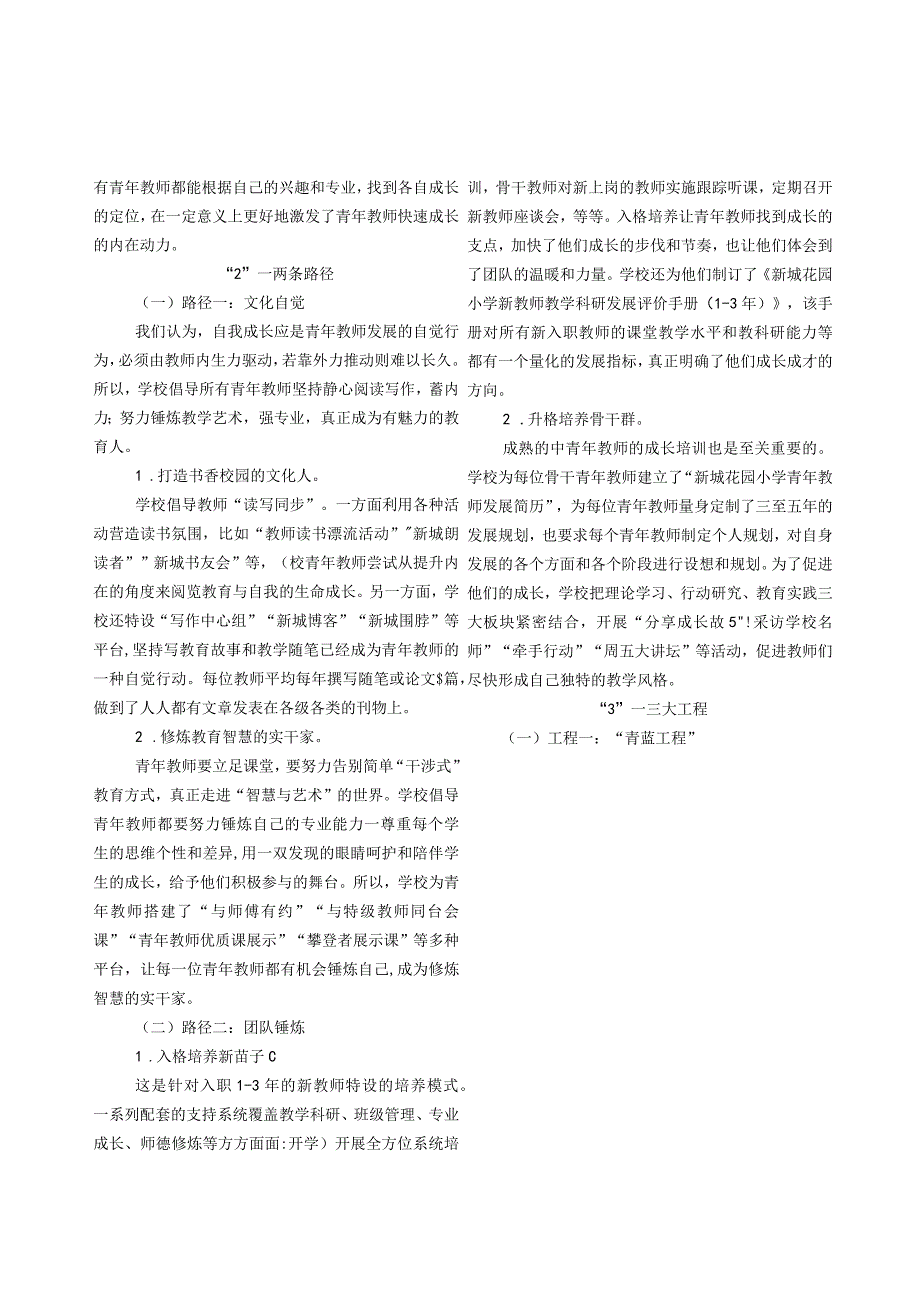 科研引领下的青年教师团队建设实践.docx_第3页