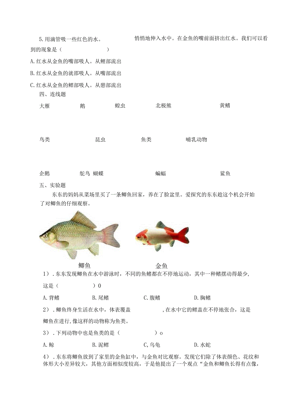 第一单元动物王国（试卷）青岛版科学四年级上册单元检测B卷.docx_第3页