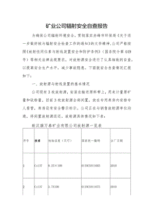 矿业公司辐射安全自查报告.docx