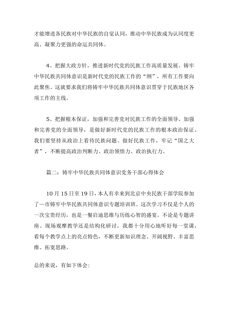 铸牢中华民族共同体意识党务干部心得体会六篇.docx_第3页