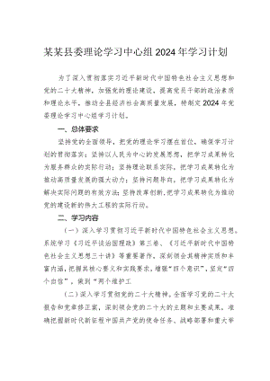 某某县委理论学习中心组2024年学习计划.docx