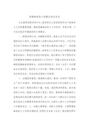 某镇森林防火部署会表态发言.docx