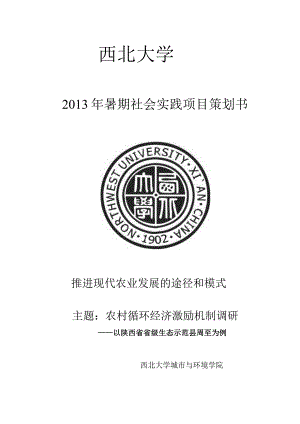 某大学暑期社会实践项目策划书.docx