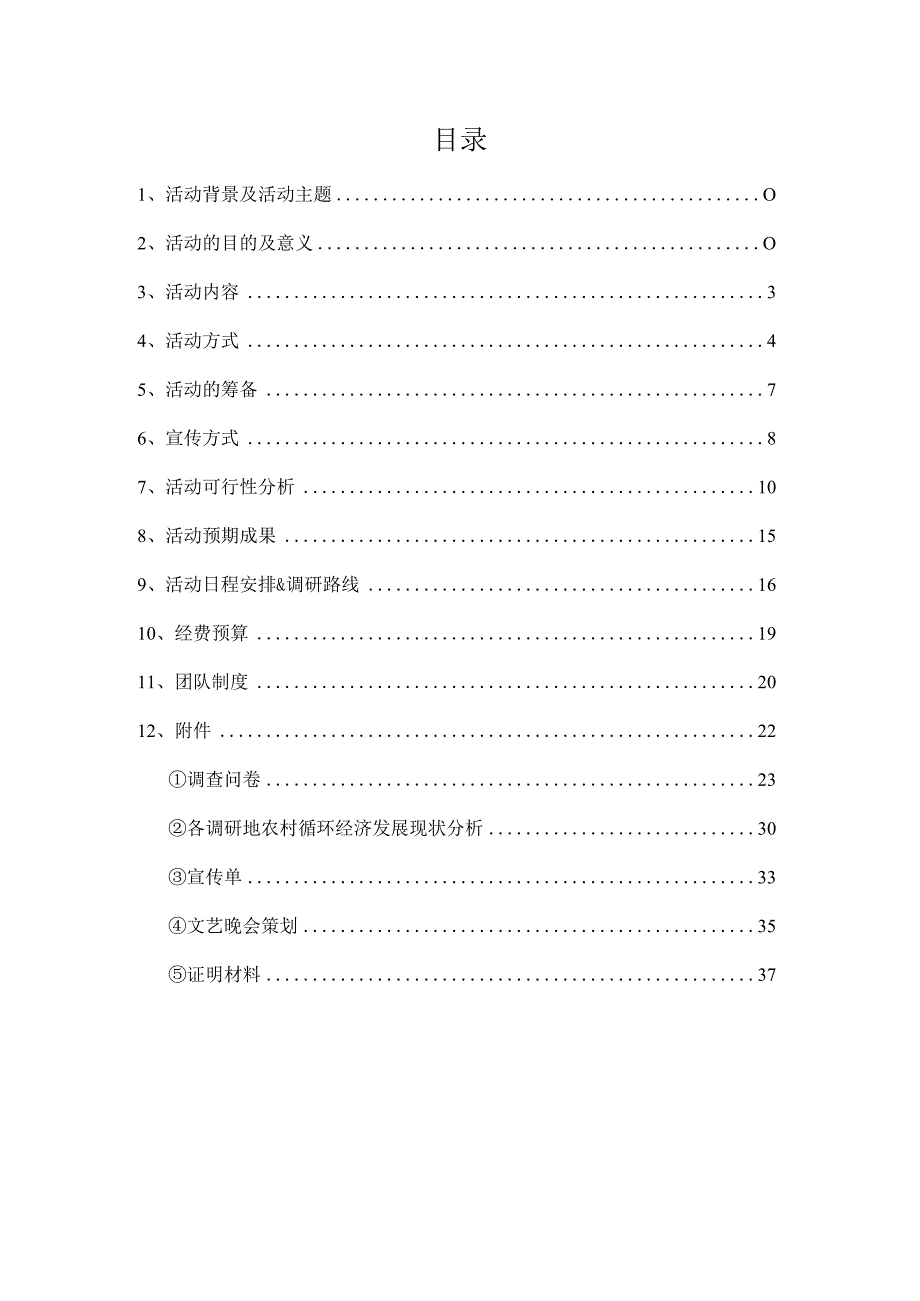 某大学暑期社会实践项目策划书.docx_第3页