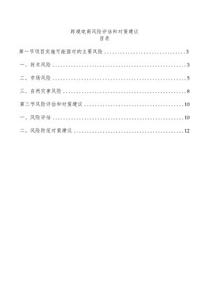 跨境电商风险评估和对策建议.docx