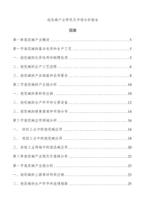 泡花碱产业研究及市场分析报告.docx