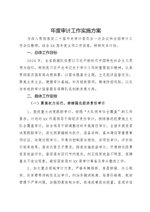 年度审计工作实施方案.docx