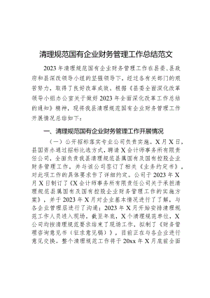 清理规范国有企业财务管理工作总结汇报报告.docx