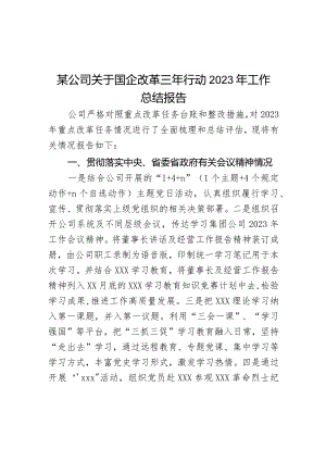 某公司关于国企改革三年行动2023年工作总结报告.docx