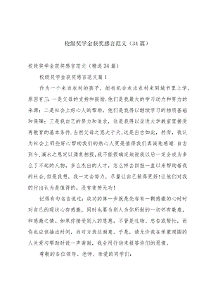 校级奖学金获奖感言范文（34篇）.docx