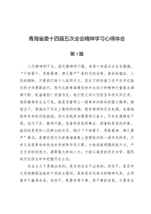 （七篇）青海省委十四届五次全会精神学习心得体会.docx