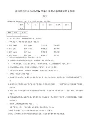 湖南省新邵县2023-2024学年上学期八年级期末质量检测（含答案）.docx