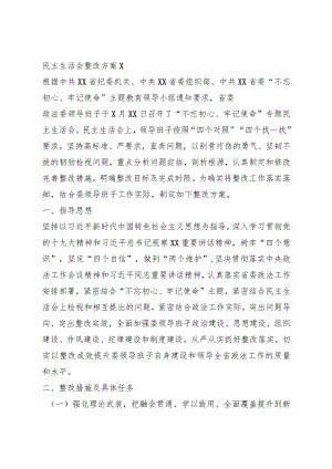 民主生活会整改方案2篇.docx