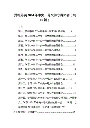 贯彻落实2024年中央一号文件心得体会18篇（详细版）.docx