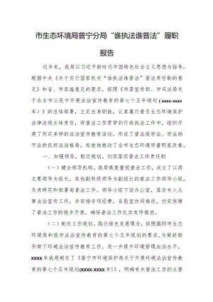 市生态环境局普宁分局“谁执法谁普法”履职报告.docx