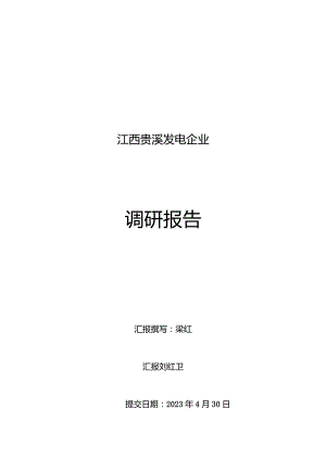 贵溪电力公司调查报告.docx