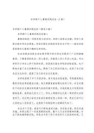 本学期个人暑期实践总结（3篇）.docx