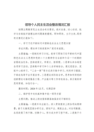 领导个人民主生活会整改情况汇报&2023年主题教育专题民主生活会公司个人对照检查材料.docx