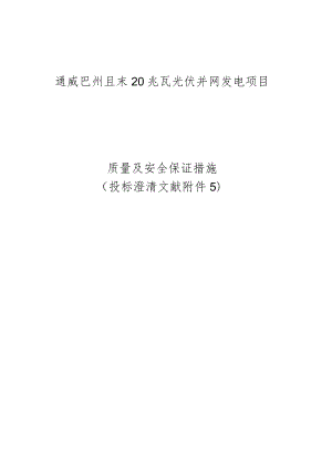 确保质量和安全服务的措施.docx