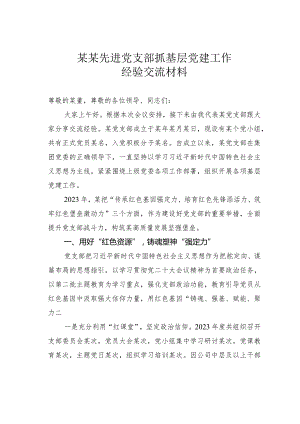 某某先进党支部抓基层党建工作经验交流材料.docx