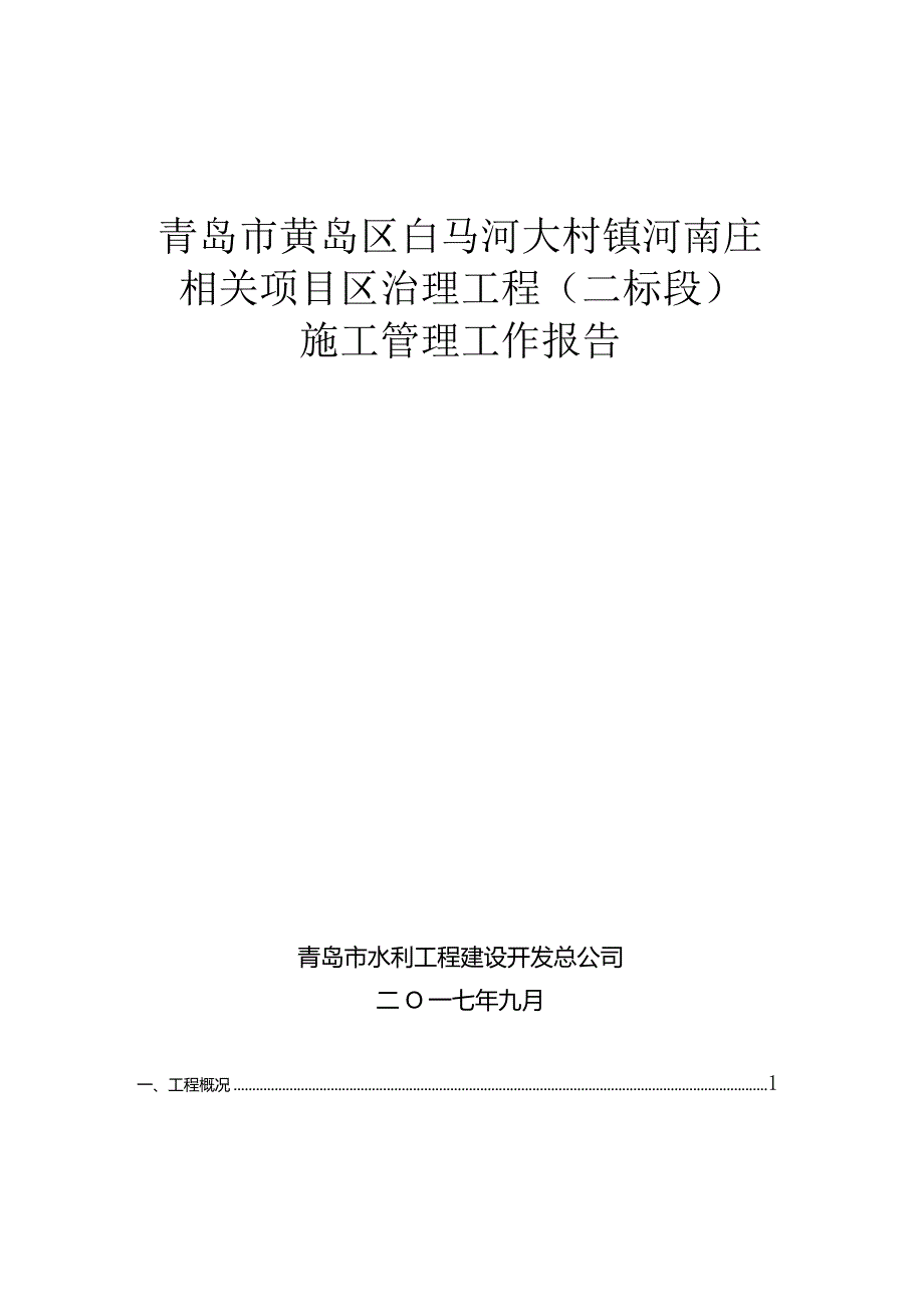 某市项目区治理工程施工管理工作报告.docx_第1页