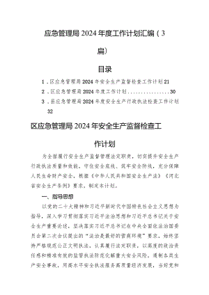 应急管理局2024年度工作计划汇编（3篇）.docx