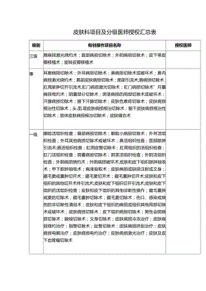 皮肤科项目及分级医师授权汇总表.docx