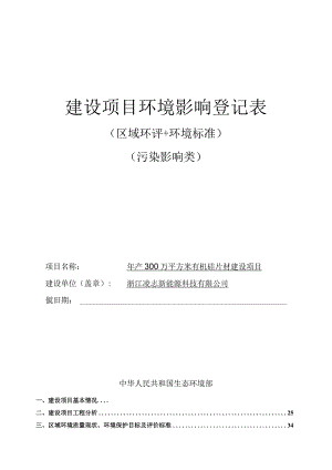 浙江凌志新能源科技有限公司登记表.docx