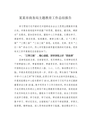 某某市商务局主题教育工作总结报告.docx