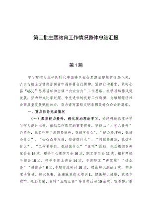 （8篇）第二批主题教育工作情况整体总结汇报.docx