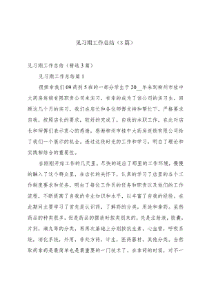 见习期工作总结（3篇）.docx